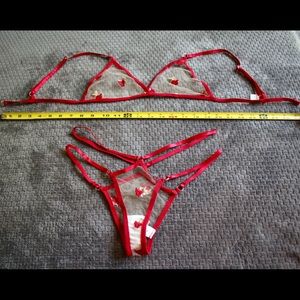 NWT Embroidered Roses Sheer Mesh Bra and Panty Set